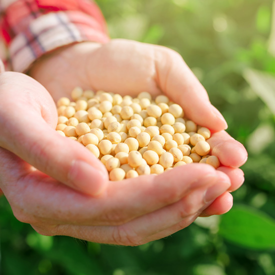 社会的に立場の弱い方々や地球環境への想いから生まれた、大豆由来の洗浄成分